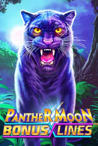 Демо игра Panther Moon: Bonus Lines™ играть онлайн | Grand Casino бесплатно
